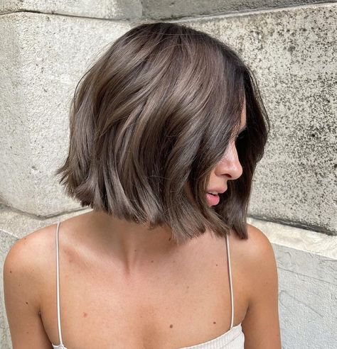 Hair Color Bob Haircut, Hair Color Natural Brown, Ash Brown Hair Bob, Ash Balayage Short Hair, Short Ash Hair, Hair Color For Bob Haircut, Ash Grey Hair Short, Short Hair With Color Ideas, Ash Grey Short Hair