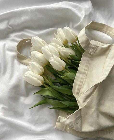 White Tulips Widget, White Tulips Wallpaper Aesthetic Desktop, Blanc Aesthetic, Tulip Photos, Cream Tulips, Ipad Homescreen, Tulip Drawing, Tulip Colors, Flowery Wallpaper