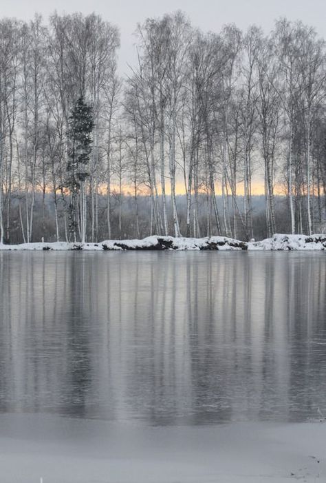 Midwinter Dream Winter Schnee, Belle Nature, Gray Winter, I Love Winter, Snow Scenes, Winter Beauty, Winter Wonder, Foto Inspiration, Winter Colors