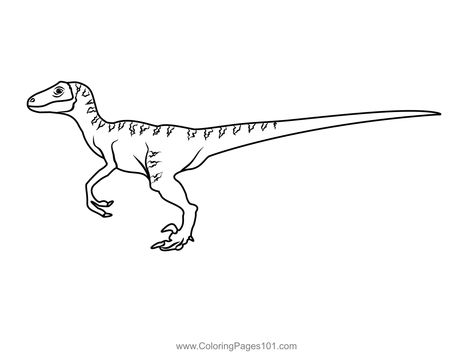 Velociraptor Coloring Page Arm Tattoos, Velociraptor Drawing, Velociraptor Tattoo, Dinosaurs Coloring Pages, Dinosaur Printables, Dinosaur Coloring Pages, Dinosaur Coloring, Free Kids, Drawing For Kids