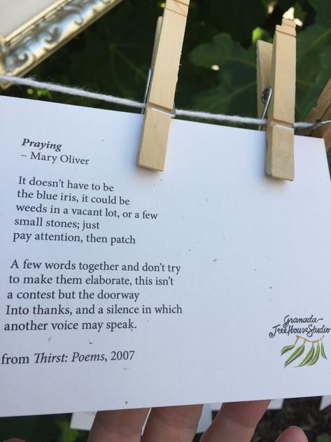 With her usual reverence and attention in the natural world, Mary Oliver’s poem “Praying” from her 2007 title Thirst: Poems, is an invitation to “patch a few words together&… Poe Poetry, Inspiring Poems, Mary Oliver Quotes, Mary Oliver Poems, Quotes Literature, Inspirational Poetry, Bubble Quotes, Prose Poetry, Poetic Words