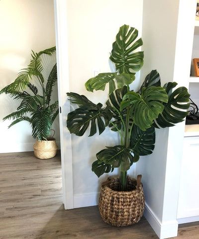 Buy the best artificial plant from Artiplanto with a wide range of faux plants, silk flowers and potted plants for indoor office decor. Fast shipping in Canada & US within 1-3 business days. Home With Lots Of Plants, Faux Monstera Plant, Fake Monstera Plant Decor, Monstera Home Decor, Faux Tropical Plants, Faux Plants Bedroom, Artificial Plants Indoor Decor, Indoor Plants Decor Bedroom, Monstera Pot