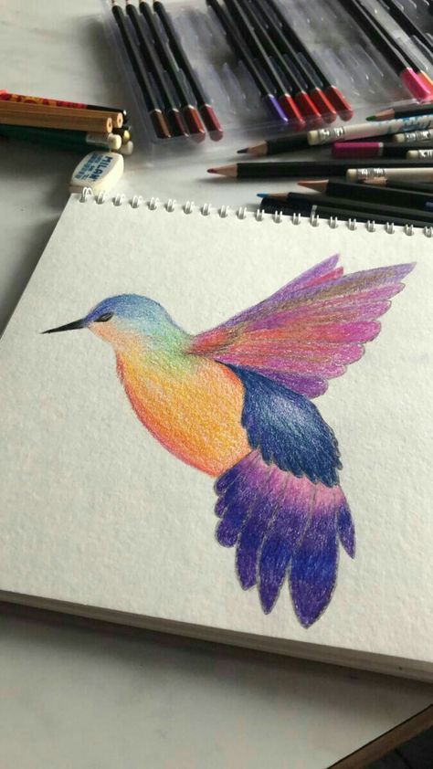 Simple Crayon Drawings Aesthetic, Color Pencil Art Simple, Easy Drawings Colorful, Color Pencil Art Ideas, Colorful Drawings Easy Creative, Simple Colorful Drawings, Colour Drawing Ideas, Simple Colour Pencil Drawings, Easy Colored Pencil Drawing Simple