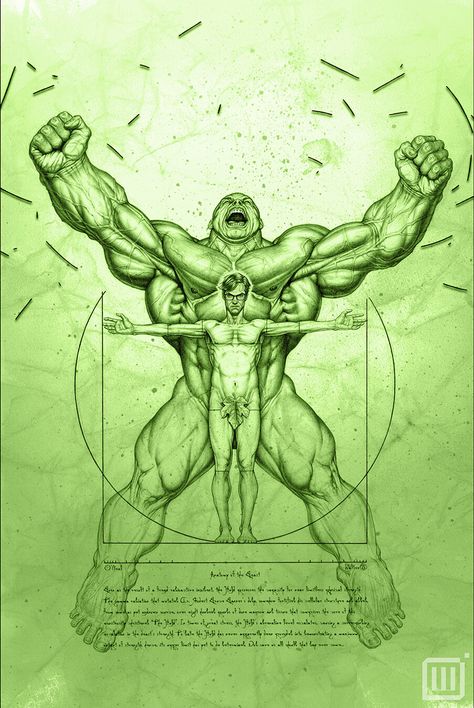 Hulk, The Hulk, Anatomy