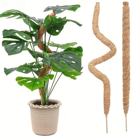 Faster shipping. Better service Indoor Climbing Plants, Plante Monstera, Plant Sticks, Plants Monstera, Large Bird Houses, Moss Pole, Cheap Plants, Coco Coir, Wooden Bird Houses