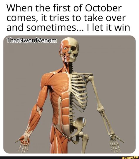 When the first of October comes, it tries to take over and sometimes... I let it win ThatherdVenom a – popular memes on the site iFunny.co #wins #memes #thatniggavenom #thatnwordvenom #dank #dankmeme #dankmemes #spicy #funny #spooky #scary #skeleton #when #first #october #comes #tries #take #sometimes #let #win #thatherdvenom #pic Skeleton Muscles, Types Of Bones, Skeleton Body, Anatomy Images, Arm Bones, Anatomy Bones, Muscle Anatomy, Heart And Lungs, Biceps And Triceps