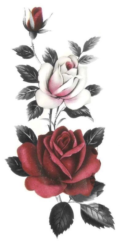 #floral #flowersart&craft#florist #rose #follow#pink#photographer #happy #bouquet #fleurs #blumen #fashion #bhfyp #fiori #sunset #artist #naturelover #flowers#macrophotography #likeforlikes #sky #design#perfection #homedecor #flowerslovers #sun #flowerlovers Image Illusion, Medusa Tattoo Design, Rose Drawing Tattoo, Medusa Tattoo, Cool Pencil Drawings, Rose Drawing, Roses Drawing, Tattoo Art Drawings, 문신 디자인