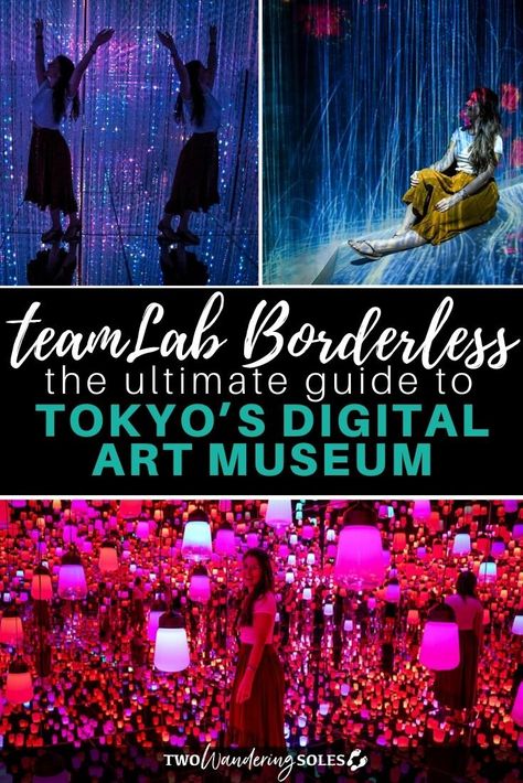 teamLab Borderless: Ultimate Guide to Tokyo’s Digital Art Museum | Two Wandering Soles Digital Art Museum, Kyoto Japan Travel, Round The World Trip, Interactive Museum, Tokyo Art, Japanese Travel, Visit Tokyo, Kyoto Travel, Japan Vacation