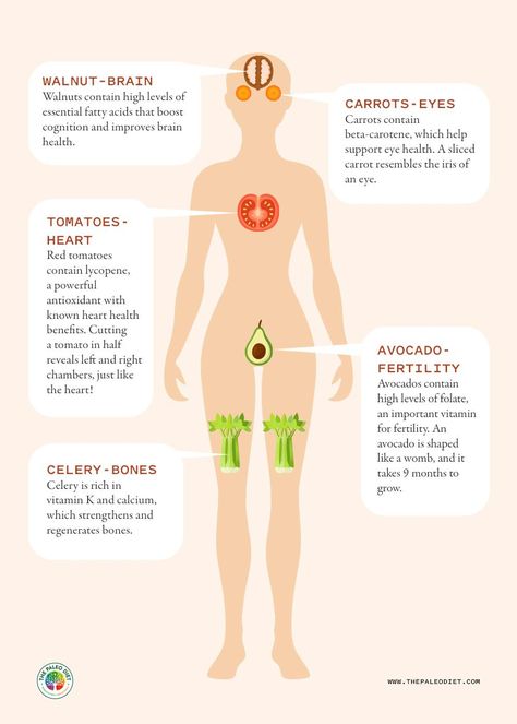 Tela, Walnuts Benefits For Women, Carrots Benefits Health, Foods And Their Benefits, Tomato Benefits Health, Walnut Benefits For Women, Health Diet And Nutrition, Carrots Benefits, Walnuts Benefits