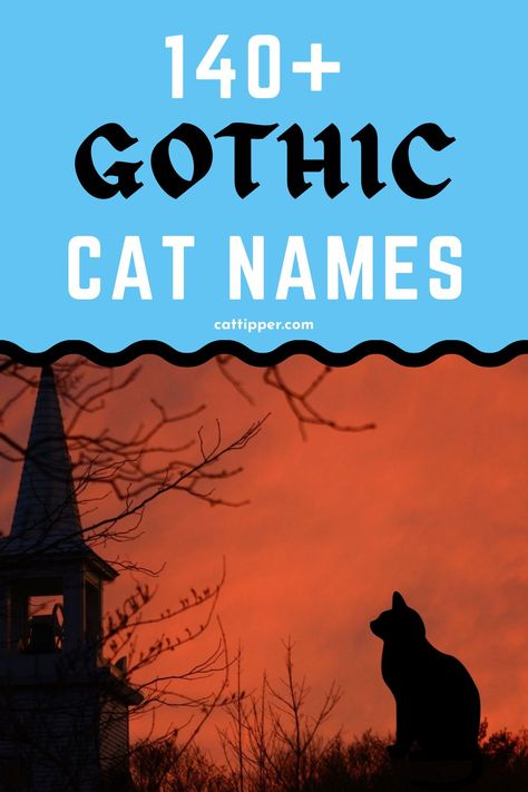 Black Cats Name Ideas, Cottagecore Cat Names, Fall Names For Cats, Japanese Cat Names With Meaning, Unique Cat Names Aesthetic, Name For Black Cat, Make Cat Names, Emo Display Names, Goth Cat Names