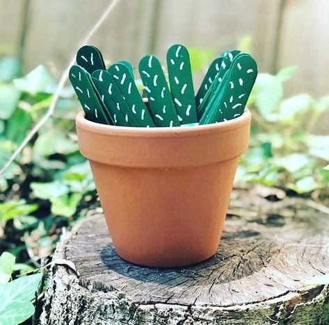 Plants Classroom, Cactus Classroom, Popsicle Stick Crafts For Kids, Adults Crafts, Talking Sticks, Succulent Theme, Classroom Goals, Elementary Classroom Decor, Crafts For Teens To Make