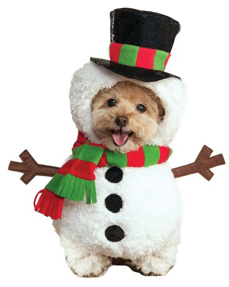 Natal, Snowman Dog, Christmas Pet Clothes, Dog Christmas Clothes, Snowman Costume, Christmas Dog Treats, Christmas Tree Dog, Christmas Dog Outfits, Christmas Dog Costume