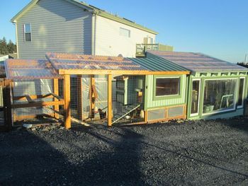 Greenhouse Coop Combo Green House Chicken Coop Combo, Greenhouse Chicken Coop Combo, Greenhouse Shed Combo, How To Raise Chickens, Chicken Pen, Greenhouse Shed, Raise Chickens, Chicken Coop Designs, Chicken Garden