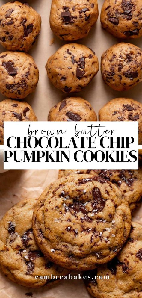 These pumpkin chocolate chip cookies are everything you love about a classic chocolate chip cookie- soft and chewy (not cakey), but loaded with cozy pumpkin spice flavor. You'll love this no-chill, no-mixer cookie recipe for the fall season! Pioneer Woman Pumpkin Chocolate Chip Cookies, Soft Pumpkin Chocolate Chip Cookie Recipe, Pumpkin Choco Chip Cookies, Pumpkin Chocolate Chip Cookies Chewy, Soft And Chewy Pumpkin Chocolate Chip Cookies, Easy Chocolate Chip Pumpkin Cookies, Easy Pumpkin Cookies Chocolate Chips, Pumpkin Chocolate Chips Cookies, Homemade Pumpkin Cookies Easy