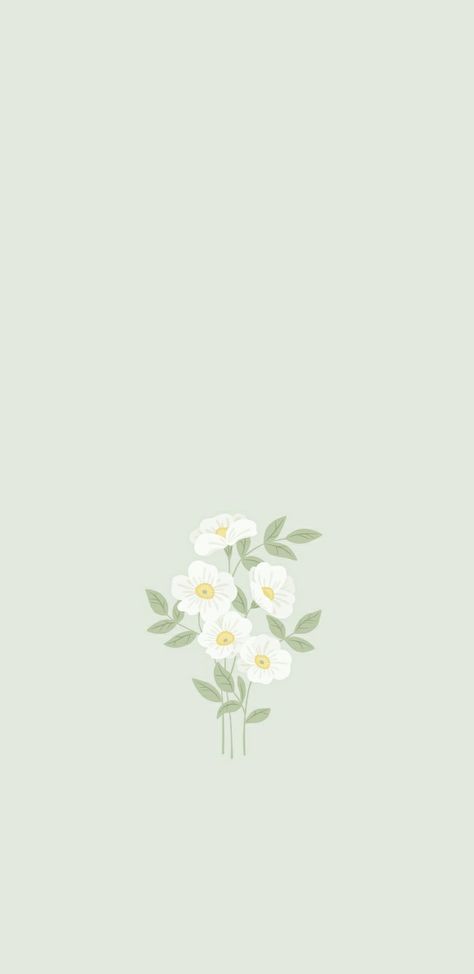 Light Colours Wallpaper, Perfectionist Wallpaper, Letter Z Wallpaper Aesthetic, Simple Flower Background Wallpapers, Plain Asthetic Wallpers, Astetic Backrounds Simple, Aesthetic Wallpaper Simple Pastel, Home Screen Wallpapers Simple, Cute Wallpapers Green Aesthetic