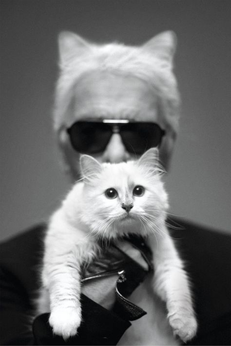 London Fashion Weeks, Karl Lagerfeld Photography, Choupette Lagerfeld, Karl Lagerfeld Choupette, Stella Tennant, Lily Donaldson, Dark Sunglasses, Carine Roitfeld, Chanel Pearls