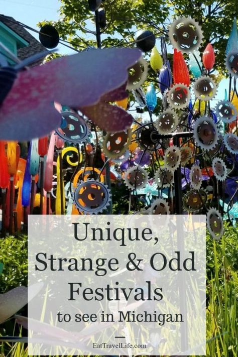 Looking for something fun & unique to see in Michigan? Check out this list of strange, odd and unique fun Michigan festivals to visit happening year round. Michigan Living, Michigan Facts, Chalk Art Festival, Munising Michigan, Unique Travel Destinations, Midwest Vacations, Travel Michigan, Bbq Festival, Muskegon Michigan