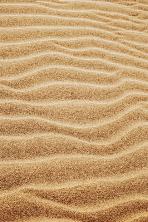 Fine sandy dunes in dry desert · Free Stock Photo Sand Pictures, Person Photo, Brown Sand, Dry Desert, Free Background Images, Sand Textures, Line Photo, School Things, Focus Photography