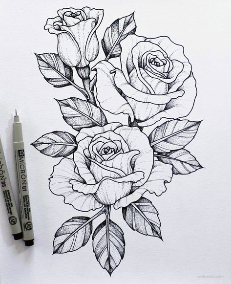 flower drawing rose — Steemit Drawing Hands, Pencil Drawing Tutorials, Drawing Faces, Rose Drawing Tattoo, Pencil Drawings Of Flowers, Flower Tattoo Drawings, Beautiful Flower Drawings, Pola Bordir, Flower Art Drawing
