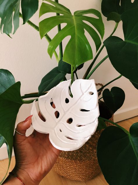 Air Dry Clay Monstera Leaf, Trinket Dish Ceramic, Air Dry Clay Pots & Planters, Air Dry Clay Plant Pot, Air Dry Clay Planter, Modelling Inspiration, Ceramica Ideas, Clay Air Dry, Clay Plant Pots