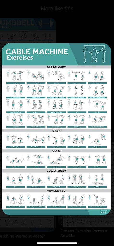 Total Body Cable Machine Workout, Core Workout With Cable Machine, Back Workout Cable Machine, Cable Workouts For Women, Cable Back Exercises, Back Cable Workout, Beginner Upper Body Workout, Upper Body Workout Gym, Machine Exercises