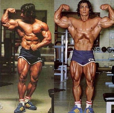 Danny Padilla "The Giant Killer" Golden Era Bodybuilding Tee's. Golden Era Bodybuilding, Danny Padilla, Aesthetics Bodybuilding, Frank Zane, Bodybuilding Pictures, Bodybuilding Clothing, Muscle Beach, Best Physique, Gym Photos