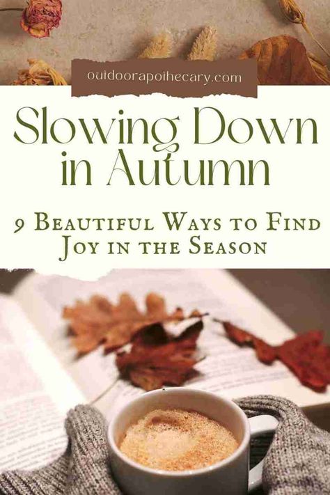 Preparing For Fall Season, Slow Living Autumn, Cozy Fall Crafts, Fall Cottagecore Decor, Things To Do This Fall, Cottage Core Fall Decor, Early Autumn Aesthetic, Fall Hygge Aesthetic, Fall Aesthetic Vibes