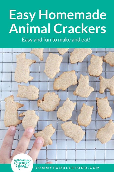Kawaii, Animal Cracker Recipe, Homemade Animal Crackers, Homemade Toddler Snacks, Animal Crackers Recipe, Animal Cookies Recipe, Easy Toddler Snacks, Toddler Cookies, Snack To Make