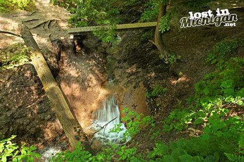 The Secret Manistee Waterfall in the Lower Peninsula - Lost In Michigan Large Waterfall, Manistee National Forest, Michigan Camping, Manistee Michigan, Michigan Road Trip, Largest Waterfall, Michigan Travel, Upper Peninsula, Beautiful Forest