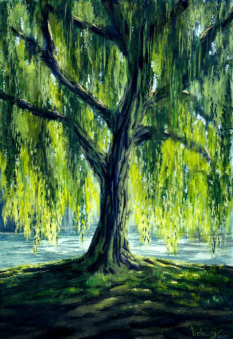 Easy Landscape Watercolor, Forest Scenery Painting, Scenery Painting Easy, Willow Tree Art, Easy Landscape, Watercolor Painting For Beginners, Tree Painting Canvas, Willow Trees, Scenery Painting