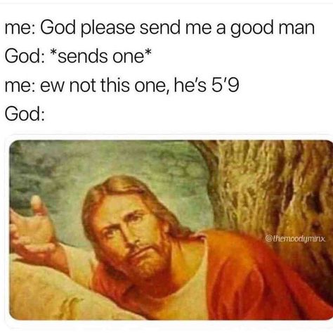 When you ask God to send you a good man but he is too short  #funnymemes #memes #jesus #funny #lol #lent #faith #christian #funnyfails Anne Taintor, Grumpy Cats, Jesus Meme, Funny Christian Memes, Jesus Memes, Christian Jokes, Bible Humor, 9gag Funny, Meme Comics