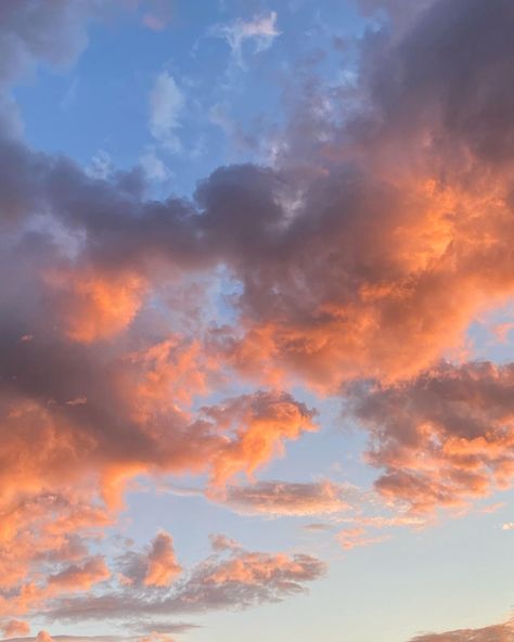 Gradient Photography, Sky Gradient, Clouds At Sunset, Sunset Illustration, Clouds Sunrise, Green Sunset, Worms Eye View, Sunset Gradient, Ephemeral Art