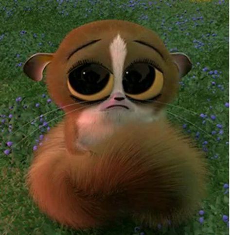 he's so cute, I. can't. even. Dreamworks Madagascar, King Julian, Carl Y Ellie, Madagascar Movie, King Julien, Penguins Of Madagascar, Seni Dan Kraf, I'm Scared, Cute Cartoon Characters