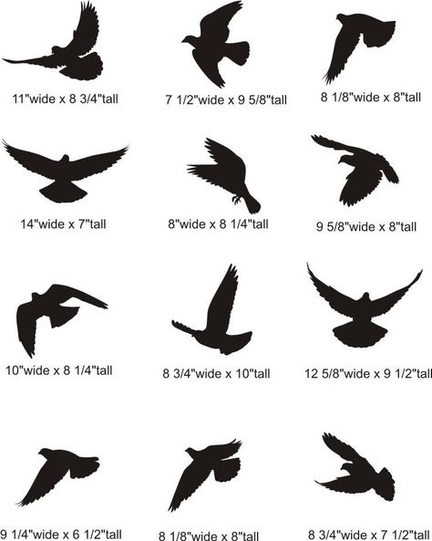 Bird Silhouette Tattoos, Small Bird Tattoos, Vogel Tattoo, Flying Tattoo, Tattoo Bird, Small Bird Tattoo, Flying Bird Tattoo, Silhouette Pictures, Silhouette Tattoos