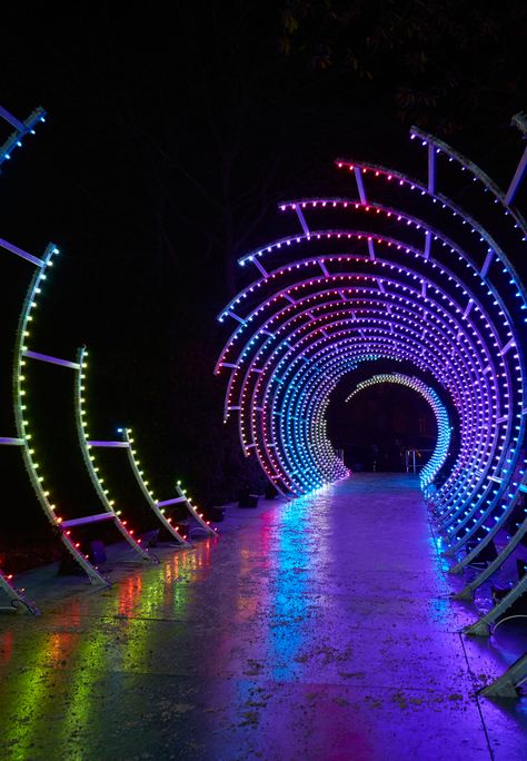 Outdoor Event Lighting, Tunnel Lighting, Event Entrance Design, Lighting Festival, Lights Festival, Event Entrance, Entrance Lighting, Instalation Art, Light Art Installation