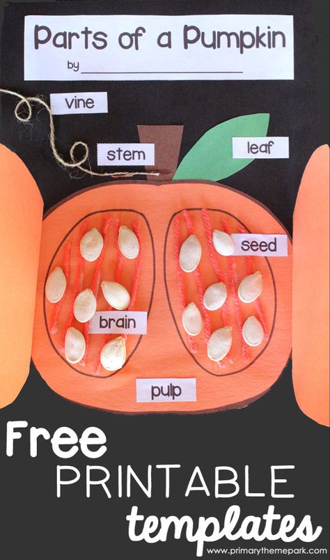 Parts of a Pumpkin Free Printable - Primary Theme Park Pumpkin Crafts Preschool, Science Halloween, Pumpkin Lessons, Pumpkins Preschool, Parts Of A Pumpkin, Pumpkin Unit, Pumpkin Life Cycle, Maluchy Montessori, Free Printable Templates