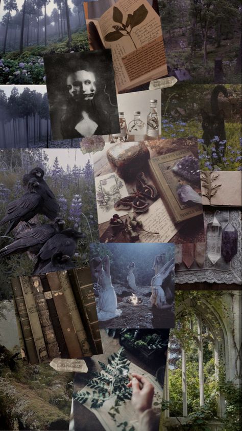 Nature, 90s Witch Aesthetic Wallpaper, Witchy Summer Wallpaper, Witchcore Aesthetic Wallpaper, Witchy Vision Board, Witch Astethic, Green Witch Aesthetic Wallpaper, Pagan Aesthetic Wallpaper, Green Witch Wallpaper