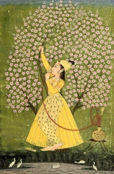 A woman under a blossoming tree, wearing a bejewelled turban, a yellow diaphanous robe and gold trousers, smoking a hookah, Bikaner, India, ca. 1760 Fictional Characters, Disney, Disney Characters, Disney Princess