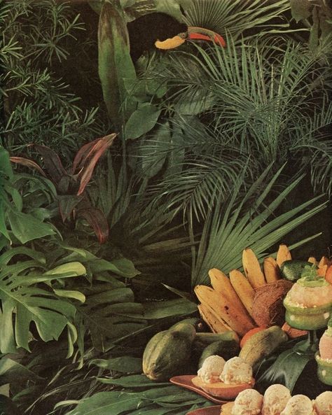 70s Aesthetic, Plant Aesthetic, Island Girl, Tropical Vibes, Nature Aesthetic, Aesthetic Vintage, Island Life, Green Aesthetic, Aesthetic Pictures