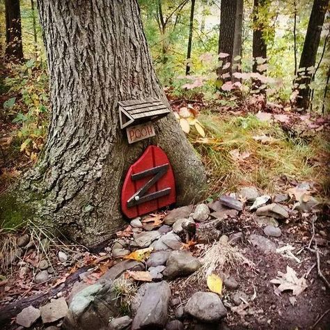 'Ed_Tivrusky_IV' wrote: "Found this in the woods while trail riding" Located in Andover, MA. Trails In The Woods, Epping Forest, Redwood Tree, Redwood Forest, Capture Photo, Lightning Strikes, Walk In The Woods, Trail Riding, Autumn Trees