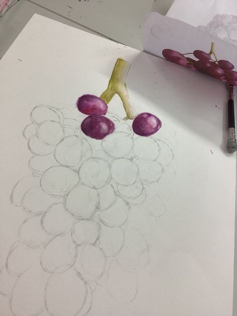 #grapes #drawing #painting #watercolor #school Grapes Painting Acrylic, Grapes Drawing, Grapes Painting, Grape Drawing, Grape Painting, Drawing Aesthetic, Aesthetic Coquette, Painting Watercolor, School Art