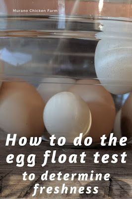 Egg Float Test Water, Old Eggs Test, Egg Test In Water, Egg Float Test, Eggs In Water, Egg Test, Floating Eggs, Chickens For Eggs, Storing Eggs