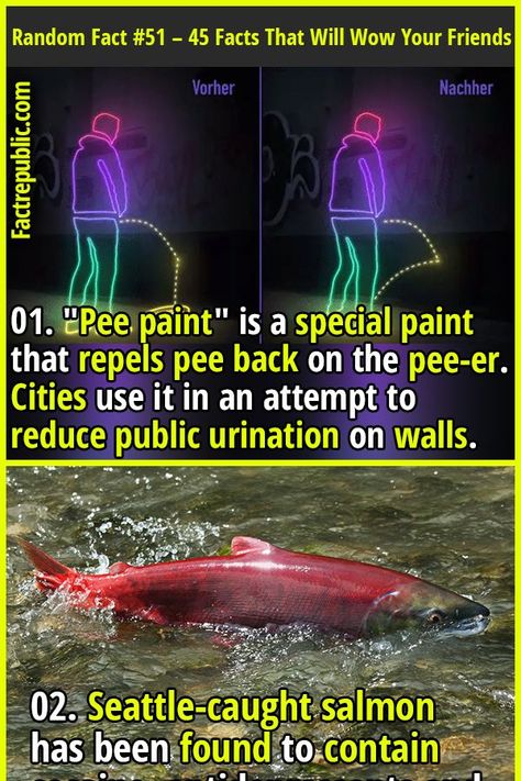 01. "Pee paint" is a special paint that repels pee back on the pee-er. Cities use it in an attempt to reduce public urination on walls. #environment #animal #science #knowledge #education #technology Science Knowledge, Education Technology, Fact Families, Animal Science, Fact Sheet, Weird Facts, Trivia, Did You Know, Fun Facts