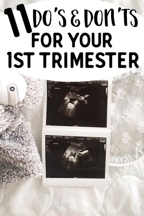 1st Trimester of Pregnancy Dos and Don't! What you can and can't do when you find out your pregnant! First time pregnancy tips you need to know. First trimester pregnancy tips. Morning sickness remedies for the first 12 weeks. pregnancy dos and don'ts food list #pregnancy #pregnancytips #firsttrimester #1sttrimester First Trimester Pregnancy Tips, First Time Pregnancy Tips, Finding Out Your Pregnant, First Trimester Pregnancy, Sickness Remedies, Morning Sickness Remedies, First Time Pregnancy, Succulent Garden Design, 1st Trimester