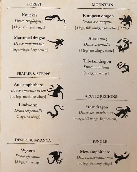 Dragon Species Guide, Different Mythical Creatures, Types Of Dragons Mythical Creatures, Types Of Mythical Beings, Types Of Magical Creatures, Different Kinds Of Dragons, Fantasy Tattoo Ideas Mythical Creatures, List Of Fantasy Creatures, Types Of Dragons Chart