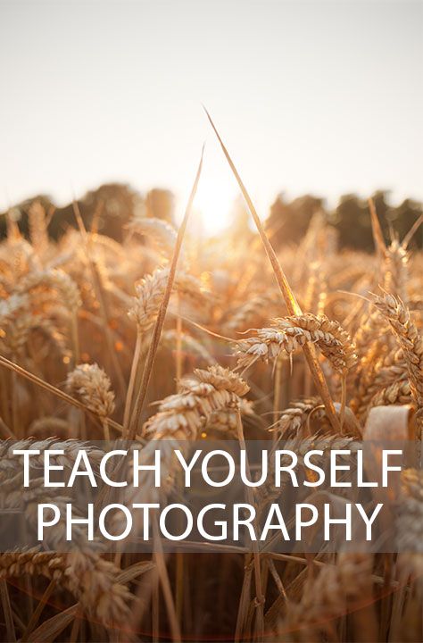 A look at the most important things to study when starting to learn photography, and how to ensure this learning sinks in. Photography Basics, Photographie Art Corps, Digital Photography Lessons, Fotografi Digital, Blog Planning, Pose Fotografi, Photography Help, Poses Photo, Foto Tips