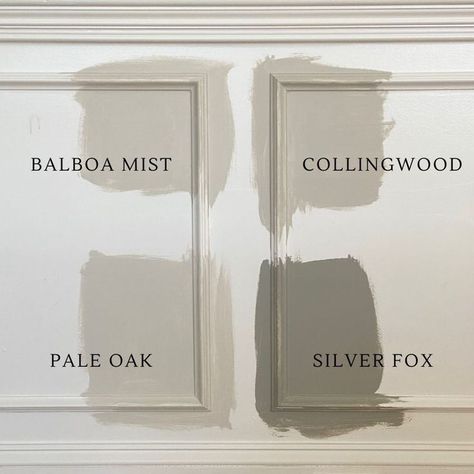 Benjamin Moore Pale Oak Vs Revere Pewter, Beige Benjamin Moore Colors, Colling Wood Benjamin Moore, Benjamin Moore Colour Palettes, Living Room Benjamin Moore Colors, Museum Piece Benjamin Moore, 2023 Wall And Trim Colors, Pale Oak With Green, Kendall Charcoal Vs Peppercorn