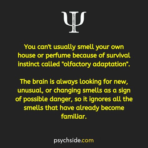 Phsycology Facts About Human, Quotes About Psychology, Human Psychology Facts So True, Dark Psychology Facts, Psychological Projection, Psychological Facts Interesting Crushes, Psychological Facts Interesting Feelings, Facts About Psychology, Phycological Facts