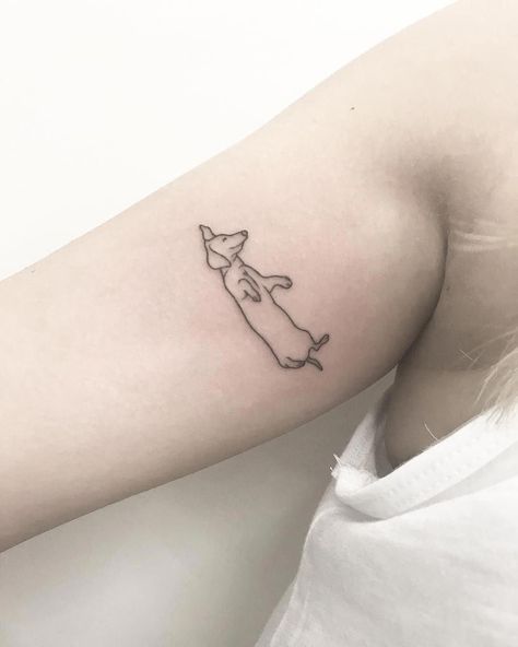 14 Minimalist Tattoo Ideas For Dachshund Lovers | PetPress Daschund Tattoo, Tatoo Dog, Hirsch Tattoo, Minimalist Tattoo Small, Dachshund Tattoo, Minimalist Tattoo Ideas, Dainty Tattoos, Tattoo Life, Dachshund Lovers