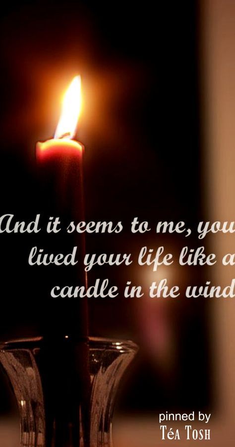 ❈Téa Tosh❈Candle in the wind… Norma Jean, Princess Diana Funeral, Diana Funeral, Candle Quotes, Images With Quotes, Candle Images, Candle In The Wind, I'm With The Band, Lady Diana Spencer